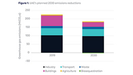 Fossil Producer Uae To Host Cop28: What Are Gulf States Doing To Decarbonise?